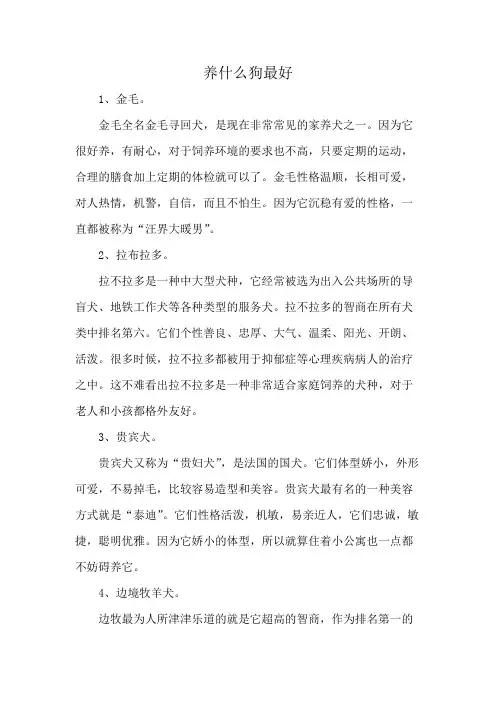 养什么狗最好