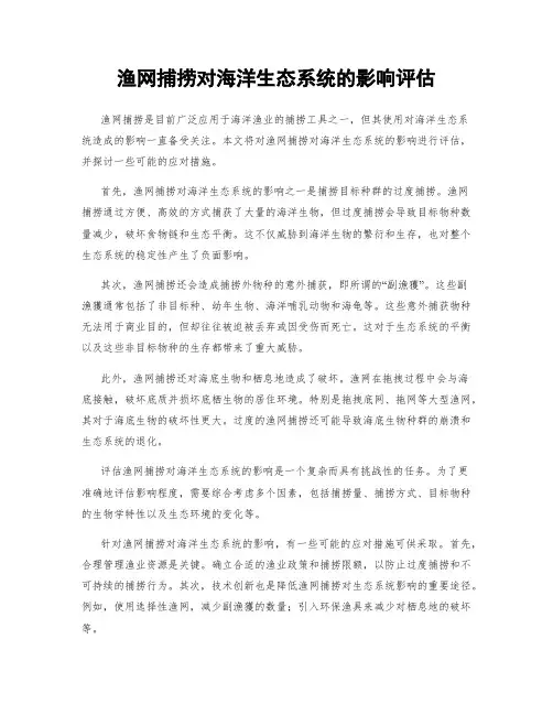 渔网捕捞对海洋生态系统的影响评估