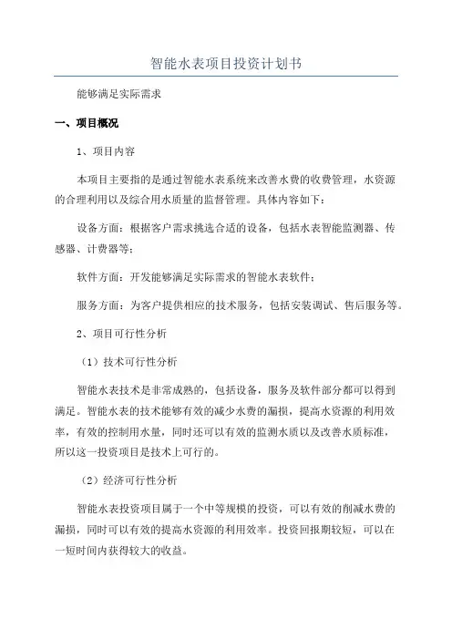 智能水表项目投资计划书