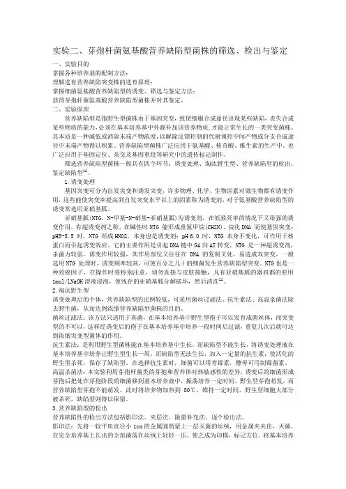 芽孢杆菌营养缺陷型的筛选检出与鉴定