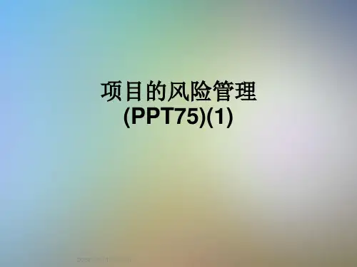 项目的风险管理(PPT75)(1)