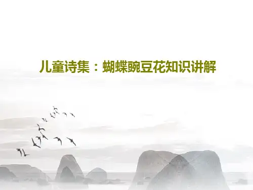 儿童诗集：蝴蝶豌豆花知识讲解共49页