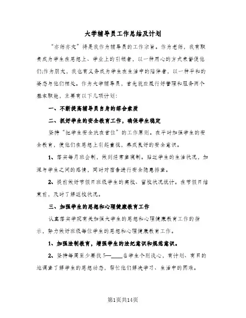 2024年大学辅导员工作总结及计划（5篇）