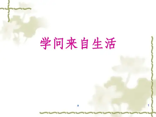 蝉的文化内涵