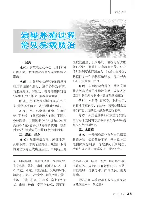 泥鳅养殖过程常见疾病防治