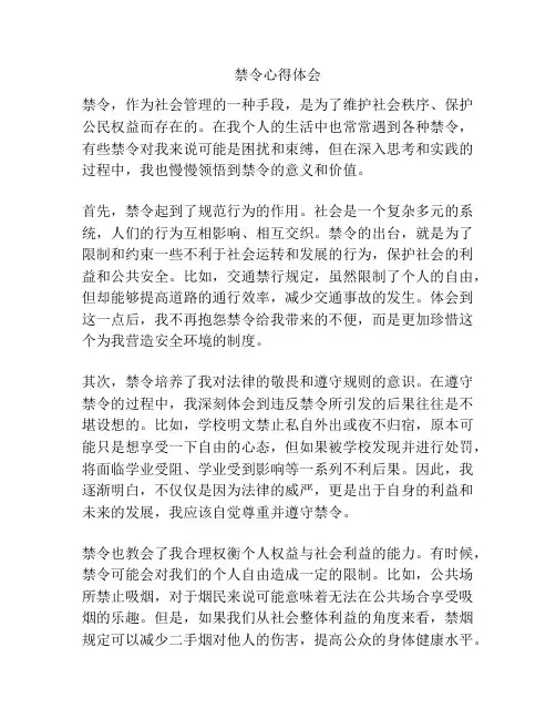 禁令心得体会
