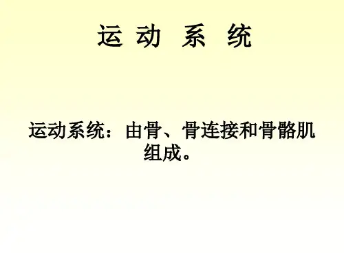 《人体解剖学》运动系统骨与骨连接