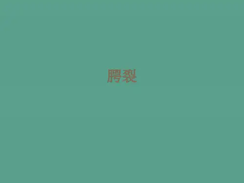 《腭裂的护理》ppt课件