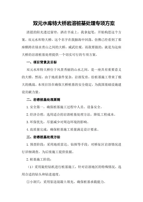 双元水库特大桥岩溶桩基处理专项方案