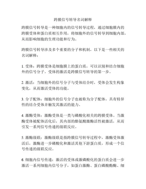 跨膜信号转导名词解释