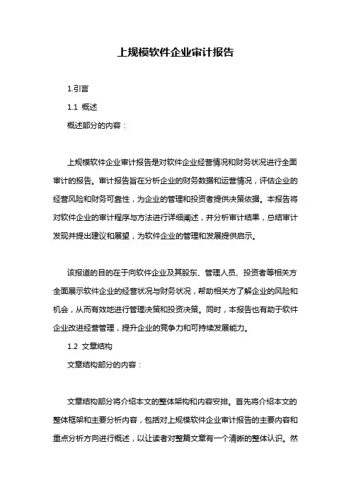 上规模软件企业审计报告