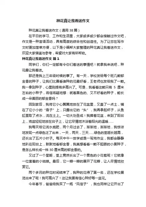 种花真让我着迷作文（通用38篇）