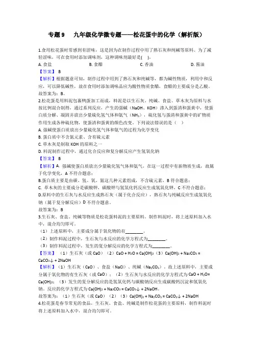 专题9   九年级化学培优拓展微专题——松花蛋中的化学精练(解析版)