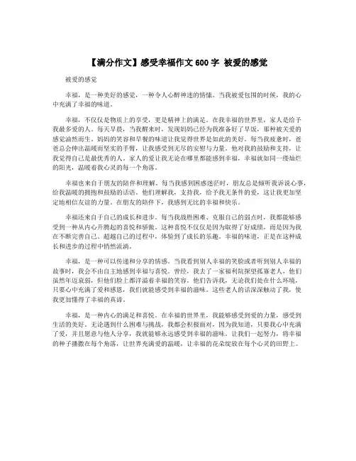 【满分作文】感受幸福作文600字 被爱的感觉