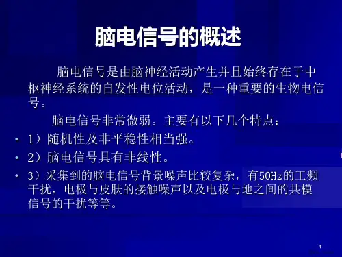 脑电信号分析与特征提取课件
