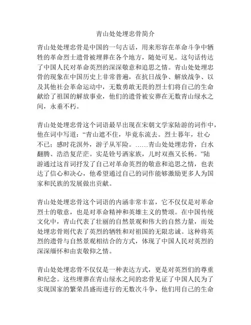 青山处处埋忠骨简介