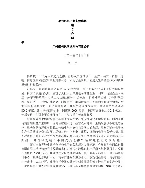 电子商务孵化器项目