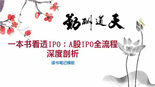 一本书看透IPO：A股IPO全流程深度剖析