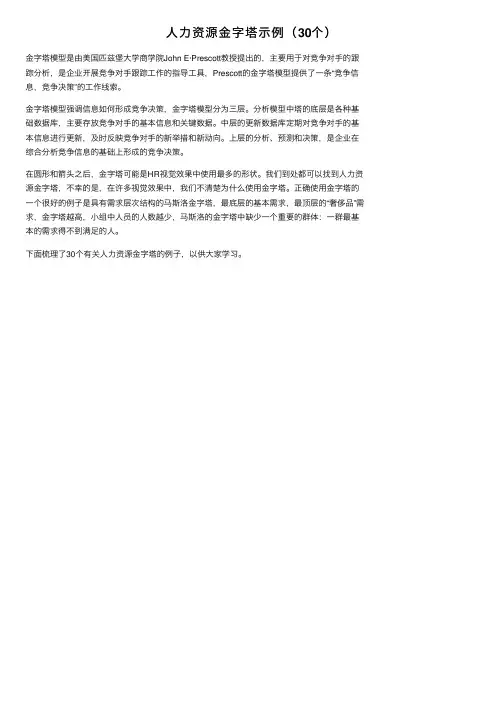 人力资源金字塔示例（30个）