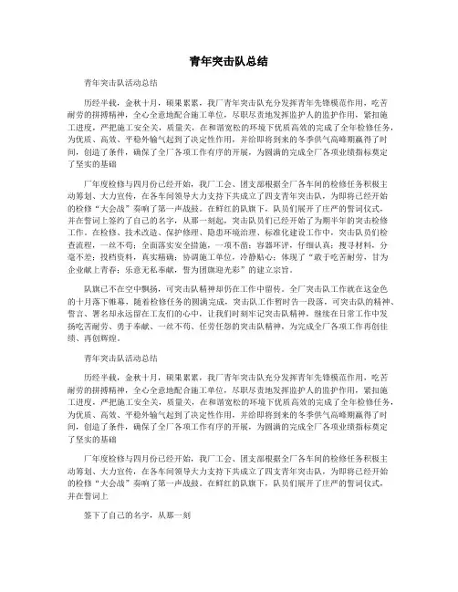 青年突击队总结
