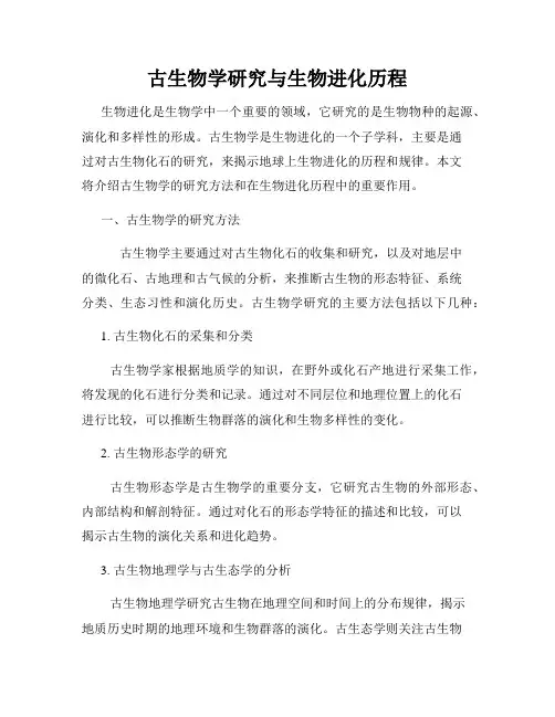 古生物学研究与生物进化历程