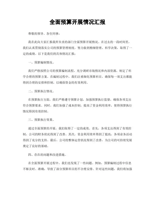 全面预算开展情况汇报