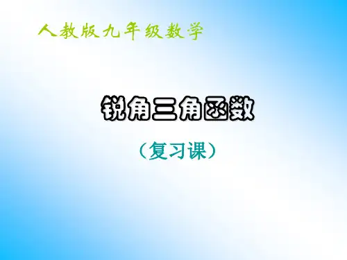 锐角三角函数全章复习(可用)