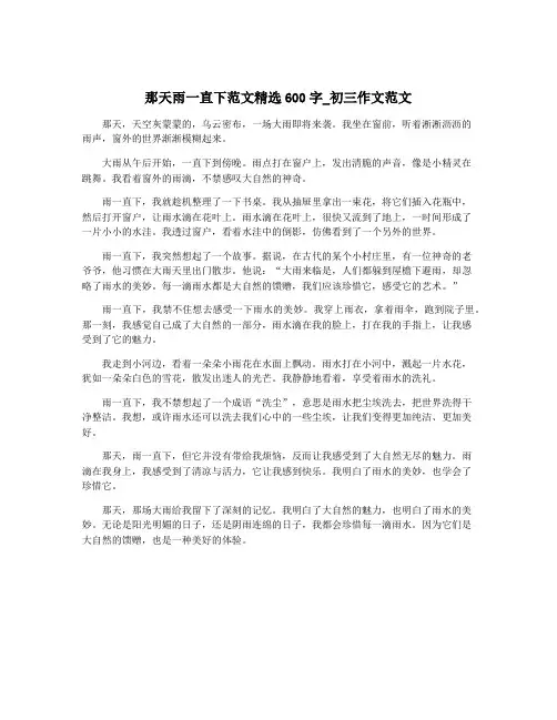 那天雨一直下范文精选600字_初三作文范文