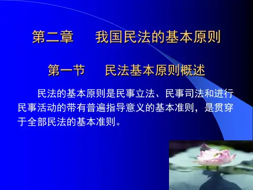 我国民法的基本原则概要