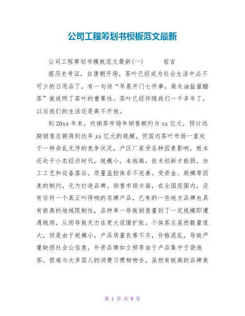 公司项目策划书模板范文最新