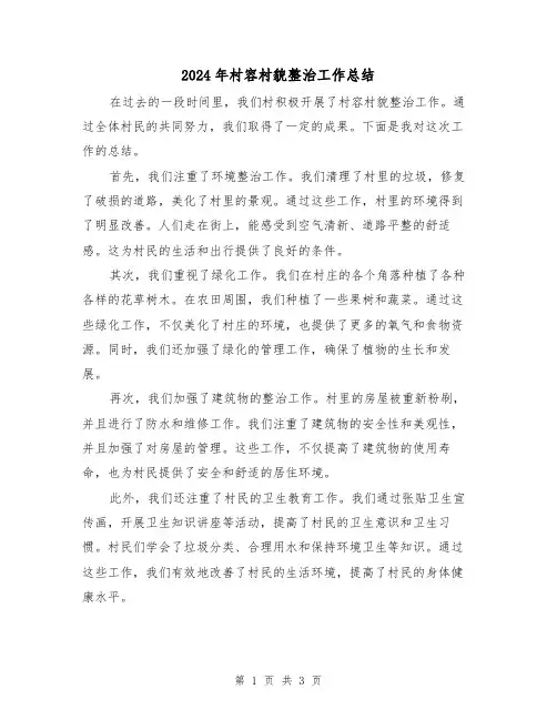 2024年村容村貌整治工作总结（二篇）