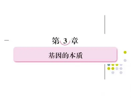 必修二第三章  基因的本质