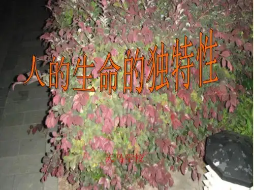 人的生命的独特性