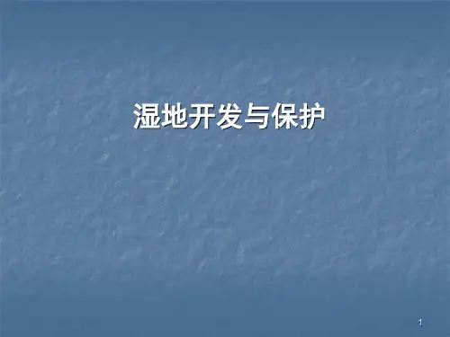 湿地的开发与保护ppt课件