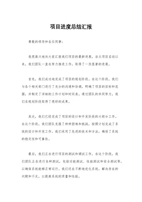 项目进度总结汇报