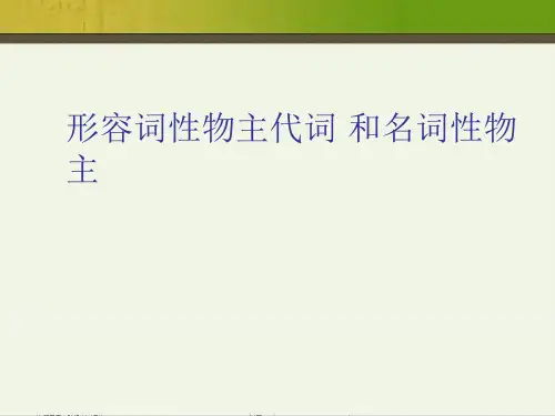 形容词性物主代词 和名词性物主