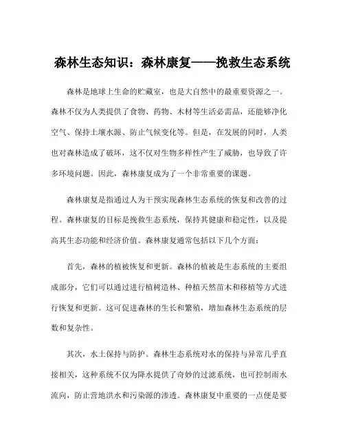 森林生态知识：森林康复——挽救生态系统