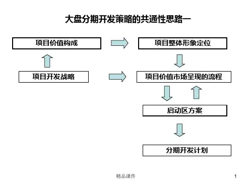 国际温泉城分期开发策略报告结构.PPT课件