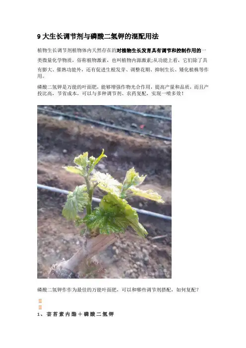 9大生长调节剂与磷酸二氢钾的混配用法