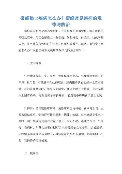 蜜蜂染上疾病怎么办？蜜蜂常见疾病的规律与防治