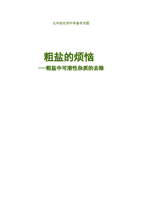粗盐中可溶性杂质的去除教学设计