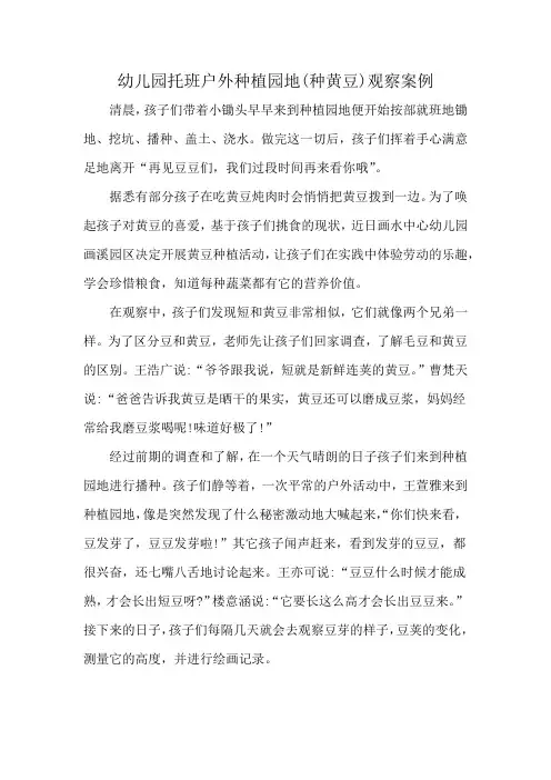幼儿园托班户外种植园地(种黄豆)观察案例