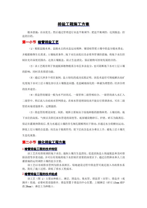 排盐工程施工方案
