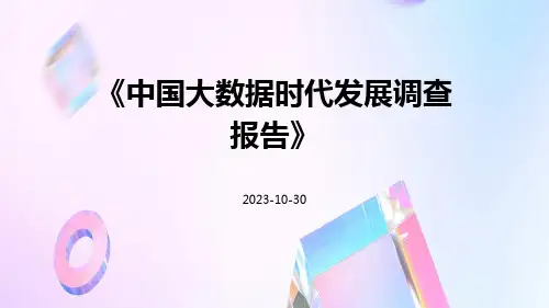 中国大数据时代发展调查报告
