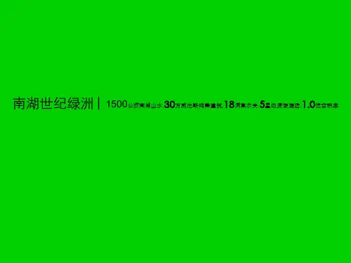 广州世纪绿洲项目策划提案