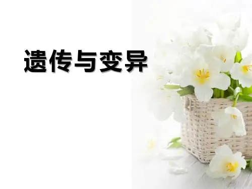 人教版五年级下册科学《遗传与变异》生长与变化PPT说课教学课件