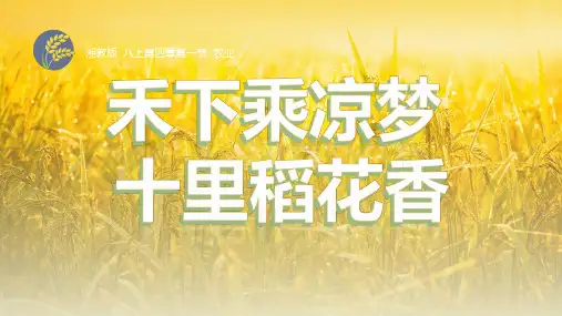 15中国的农业(精品课件)八年级地理上册 (湘教版)