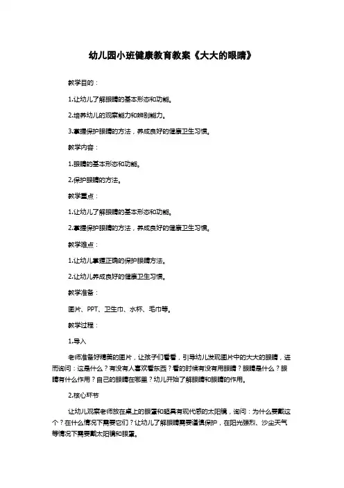 幼儿园小班健康教育教案《大大的眼睛》