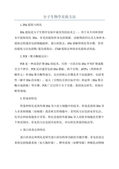 分子生物学实验方法