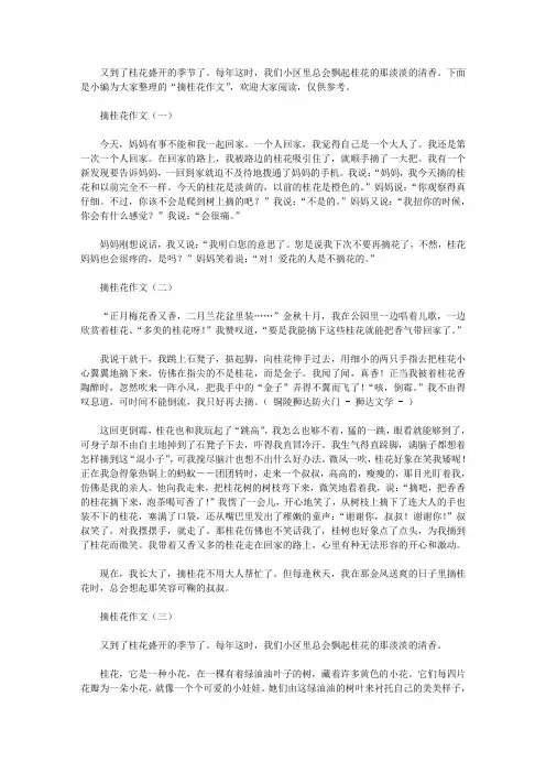 摘桂花作文